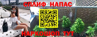 каннабис Будённовск