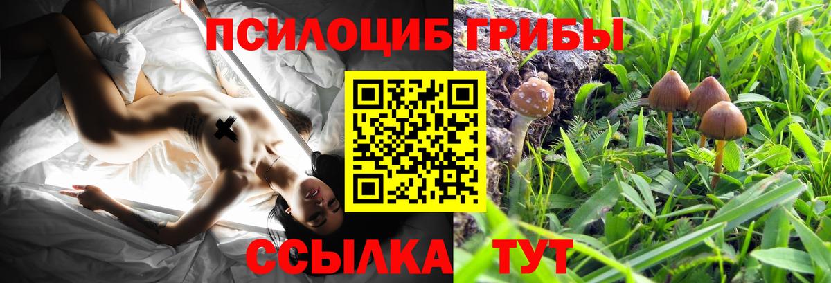 Псилоцибиновые грибы GOLDEN TEACHER  Вход с VPN  Галлюциногенные грибы Cubensis  где найти   Северодвинск 